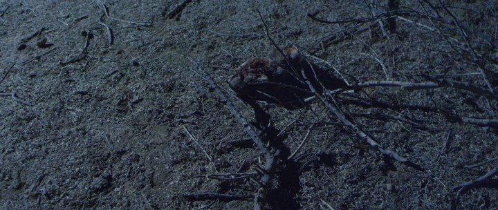 Нажмите для просмотра в оригинальном размере