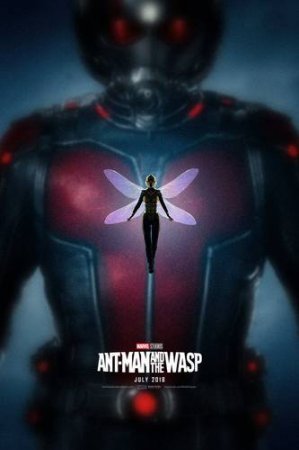 Постер к Человек-муравей и Оса